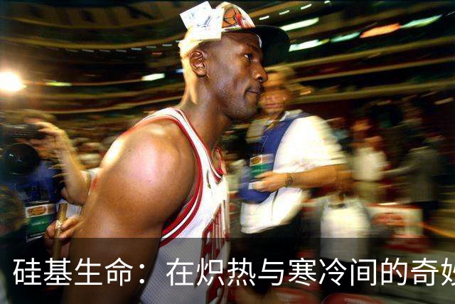 硅基生命：在炽热与寒冷间的奇妙探索